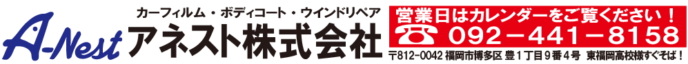アネストデモページ